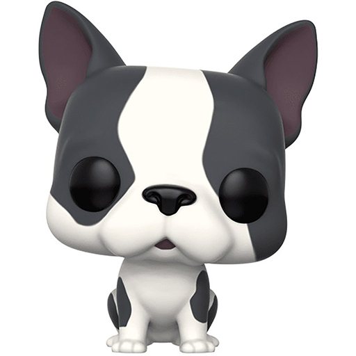 FRENCH BULLDOG #9