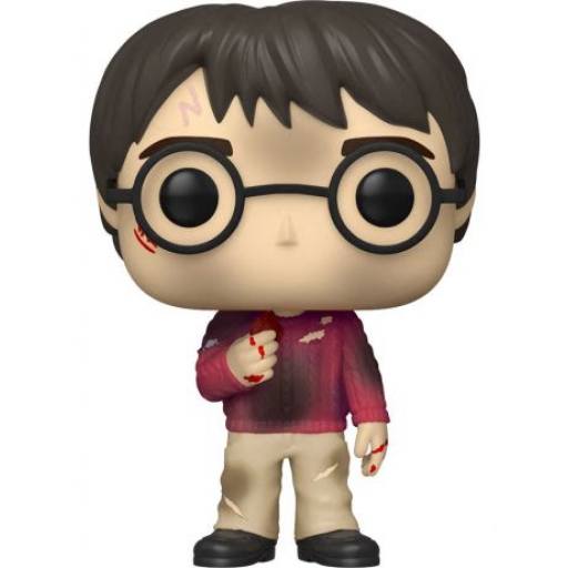 HARRY POTTER #132